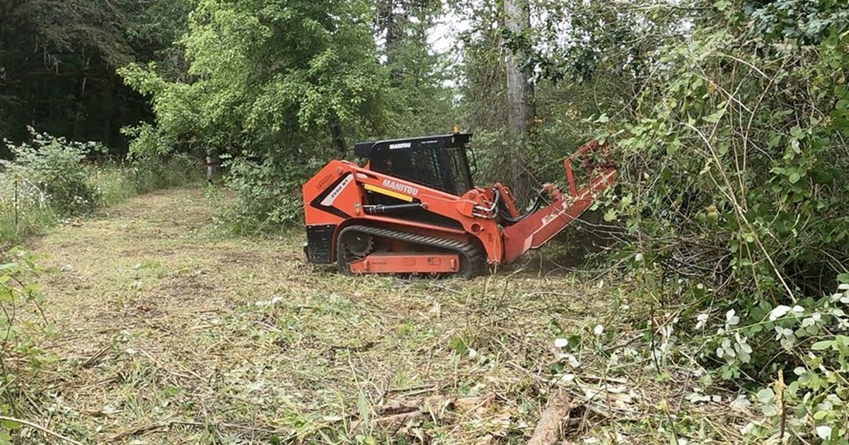Skid steer with a brush cutter working through dense brush and vines on a cleared trail