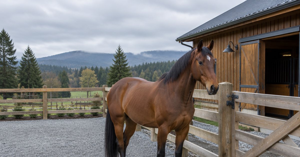 Illustration of a horse standing on firm crushed-rock footing beside a barn gate