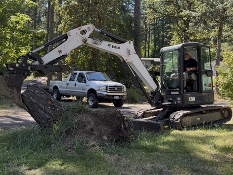 Bobcat E50 mini excavator lifting a large stump by the root ball out of the ground on a wooded property near Lebanon, Oregon