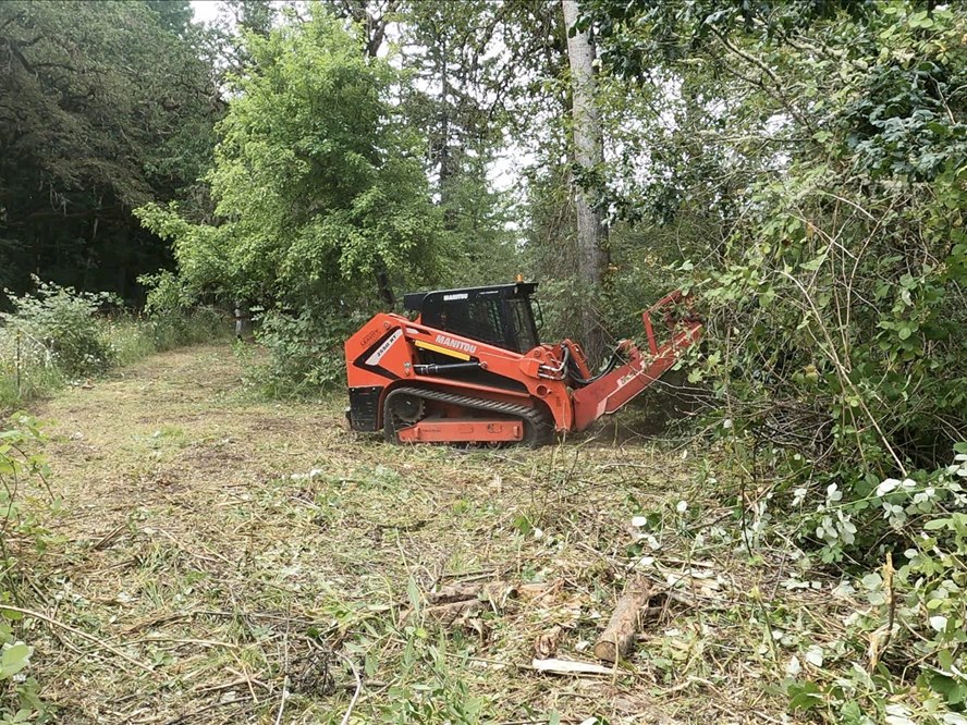 Manitou 2550 RT skid steer with brush cutter having opened a wide clearing corridor through dense brush in Linn County, Oregon